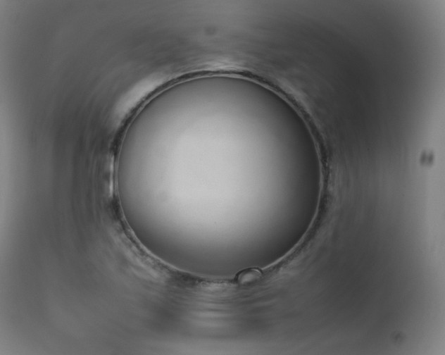 X0000111651171200907171537