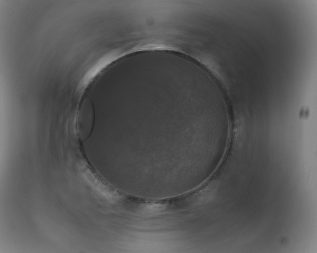 X0000111651173200907171537