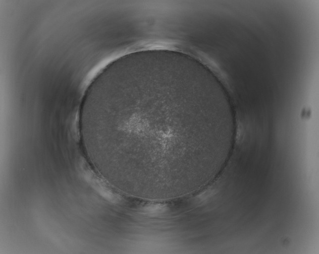 X0000111651174200907171537