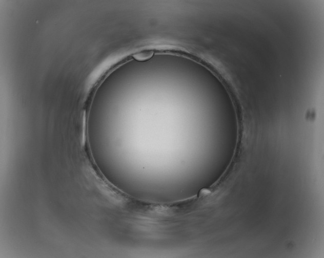 X0000111651175200907171537