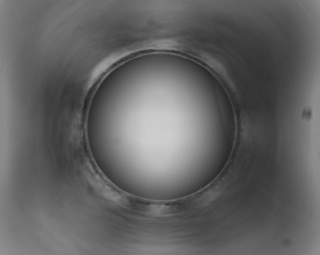 X0000111651176200907171537