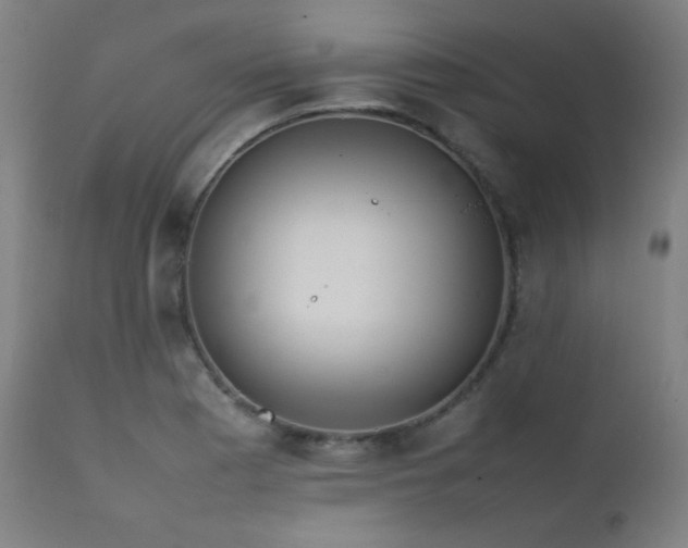 X0000111651177200907171537