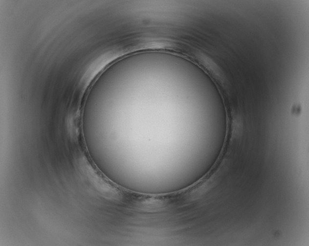X0000111651178200907171537