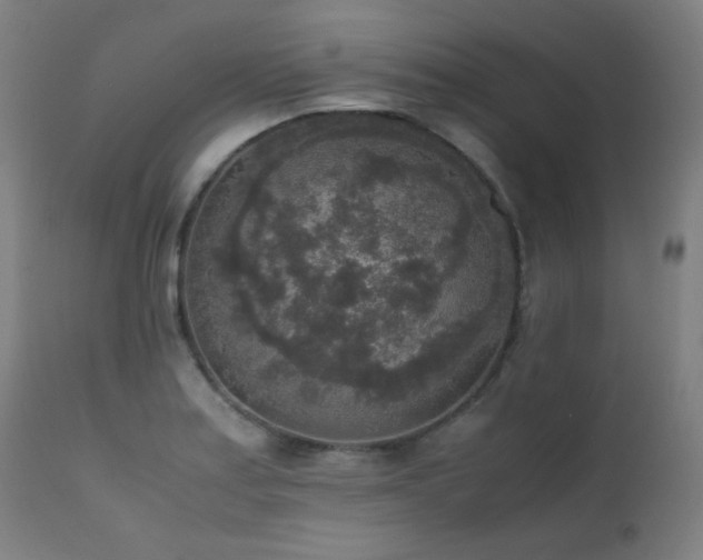 X0000111651179200907171537