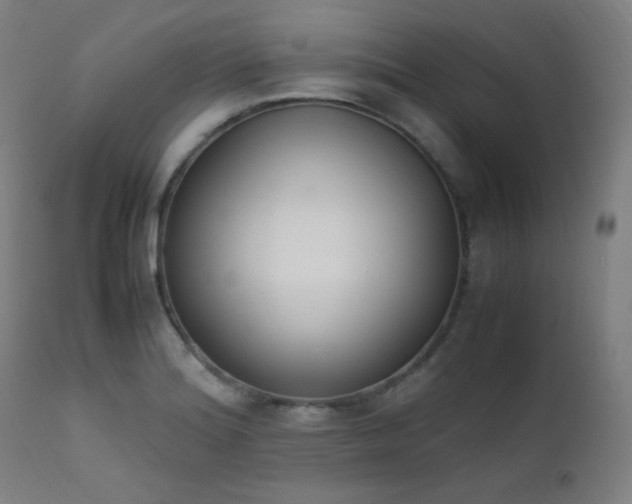 X0000111651180200907171537