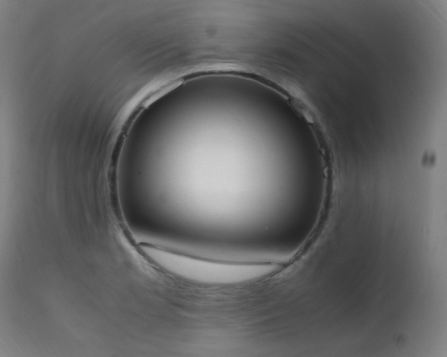 X0000111651181200907171537