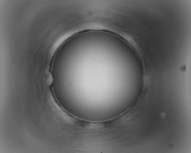 X0000111651183200907171537