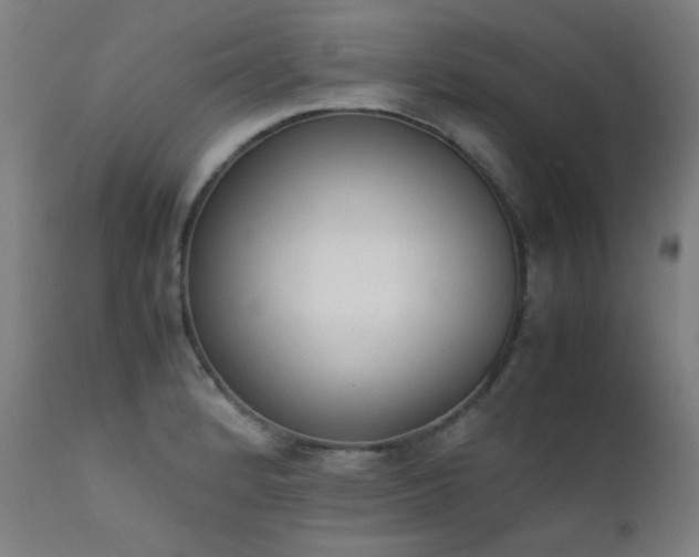 X0000111651184200907171537