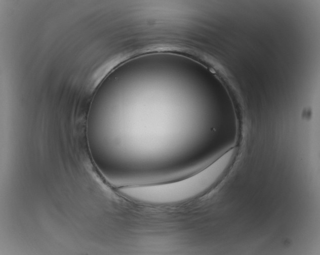 X0000111651185200907171537