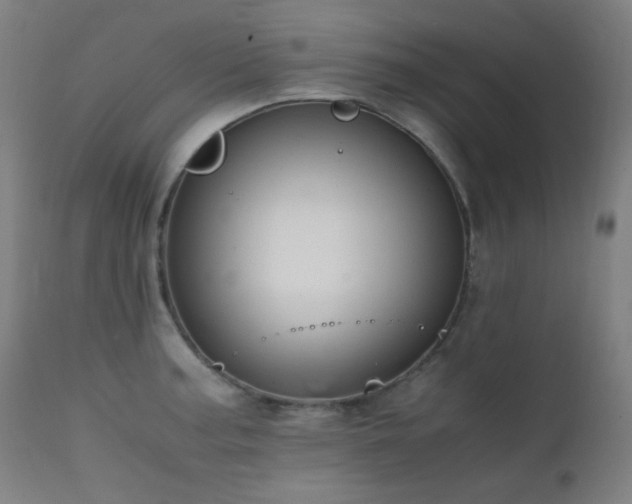 X0000111651187200907171537