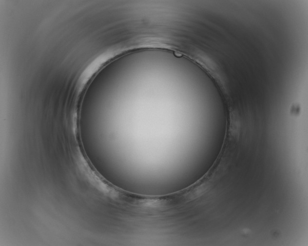 X0000111651188200907171537