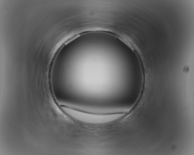 X0000111651189200907171537