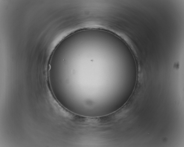 X0000111651191200907171537