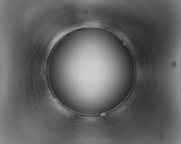 X0000111651192200907171537