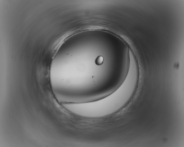 X0000111651193200907171537