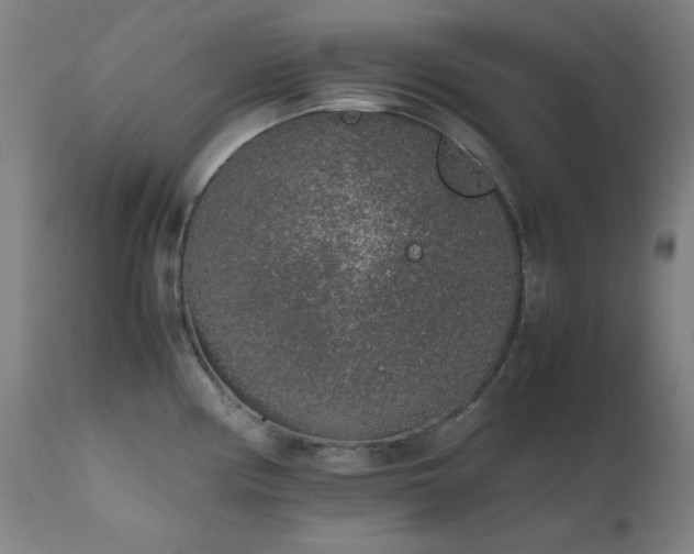 X0000111651194200907171537