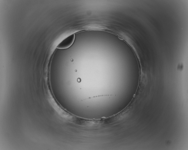 X0000111651195200907171537