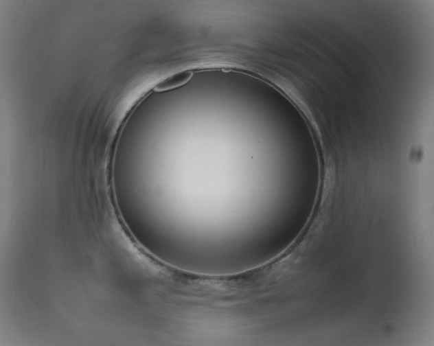 X0000111651197200907171537