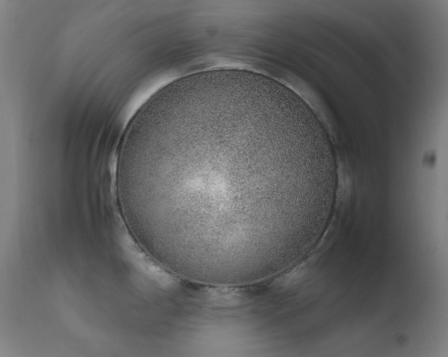 X0000111651198200907171537