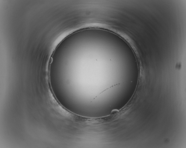 X0000111651199200907171537