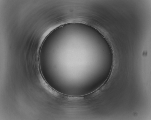 X0000111651200200907171537
