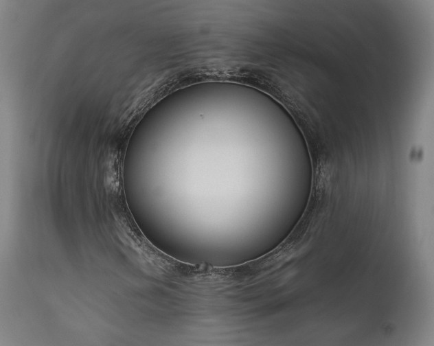 X0000111651202200907171536
