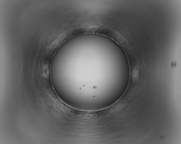 X0000111651204200907171536