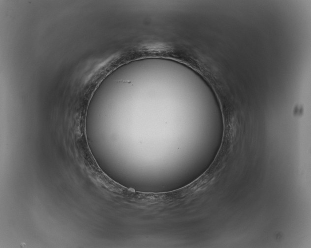 X0000111651205200907171536