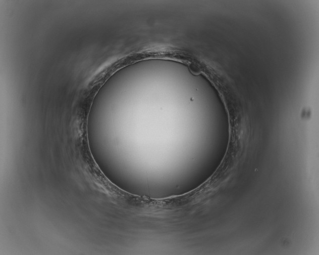 X0000111651206200907171536