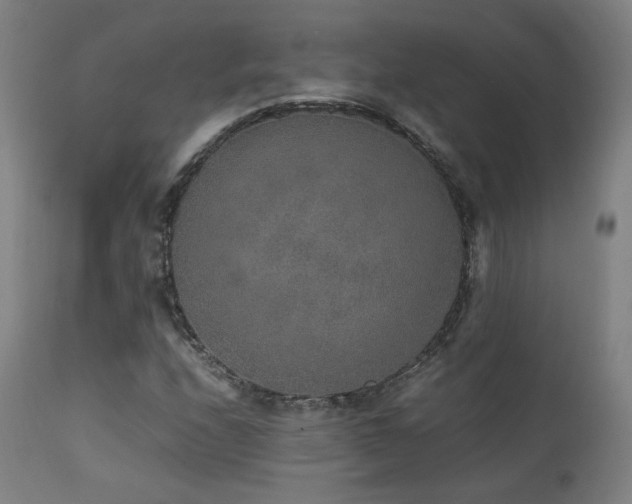 X0000111651208200907171536