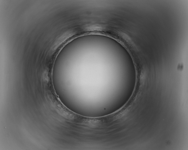 X0000111651209200907171536
