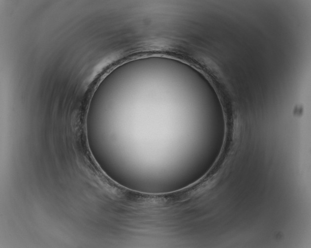 X0000111651210200907171536
