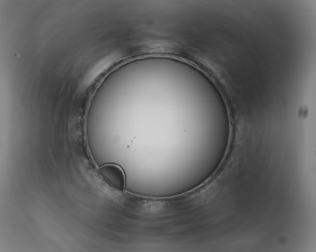X0000111651211200907171536