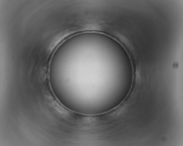 X0000111651212200907171536