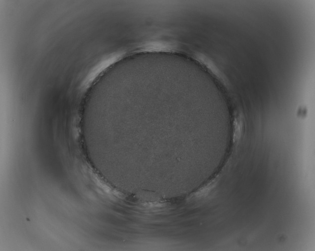 X0000111651213200907171536