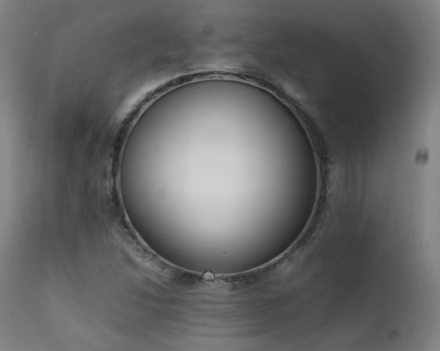 X0000111651214200907171536
