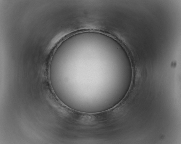 X0000111651215200907171536