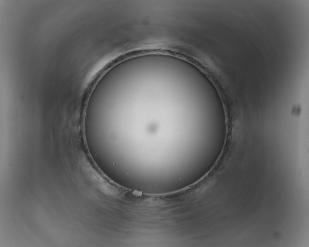 X0000111651216200907171536