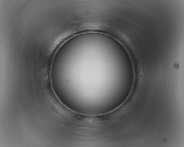 X0000111651218200907171536