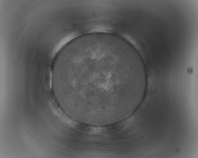 X0000111651219200907171536