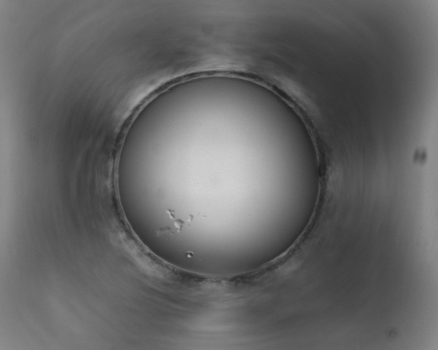 X0000111651220200907171536