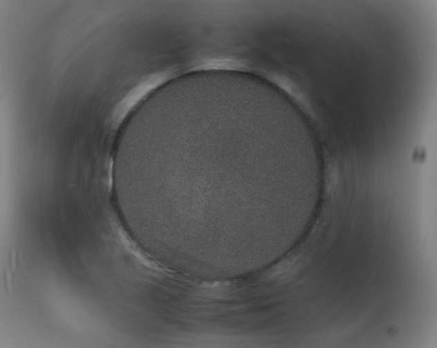 X0000111651221200907171536