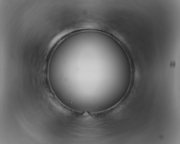 X0000111651222200907171536