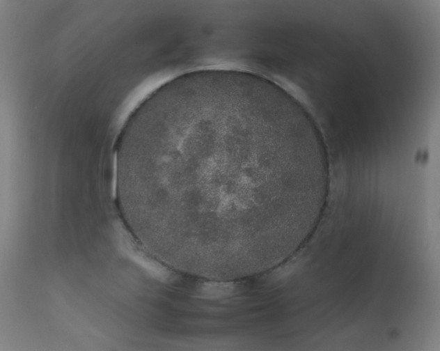 X0000111651223200907171536