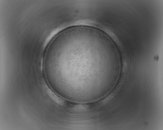 X0000111651224200907171536