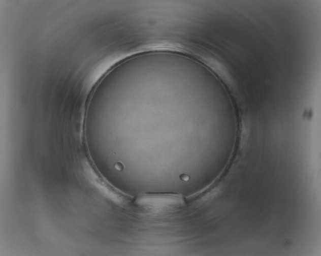 X0000111651228200907171536