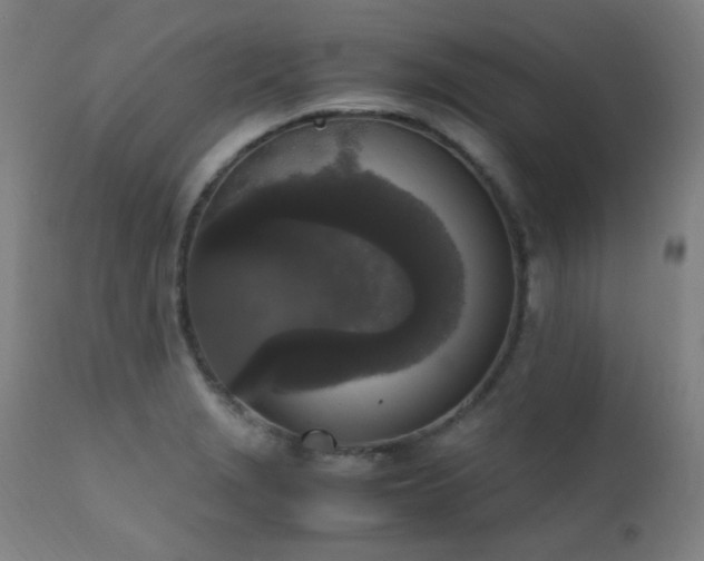 X0000111651229200907171536
