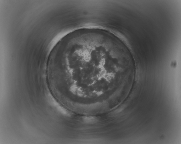 X0000111651231200907171536