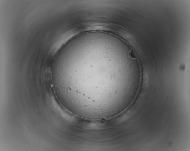 X0000111651233200907171536