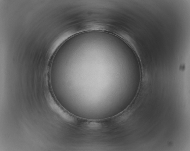X0000111651235200907171536
